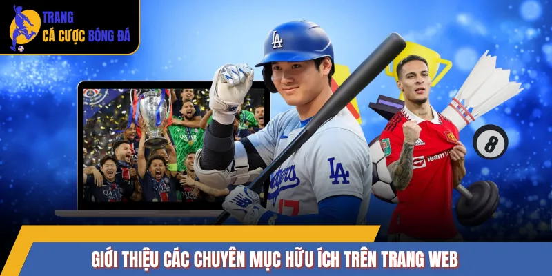 Giới thiệu các chuyên mục hữu ích trên trang web