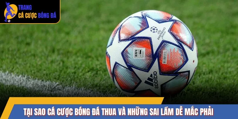 Tại sao cá cược bóng đá thua và những sai lầm dễ mắc phải